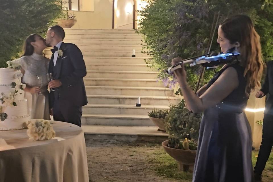 Violino con led al taglio tort