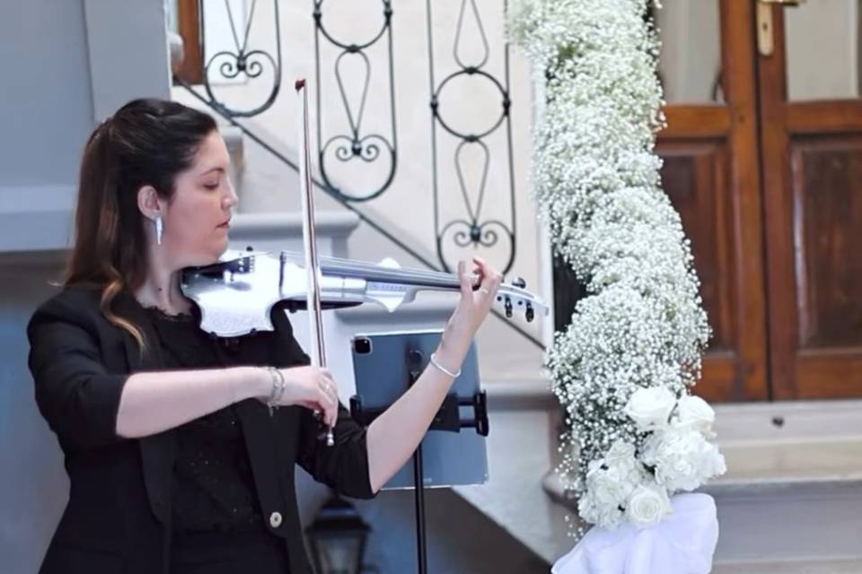 Violino casa sposa
