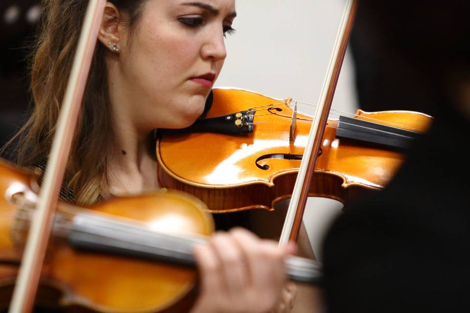 Violino in orchestra