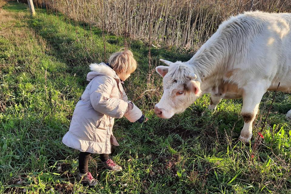 Agriturismo Milic