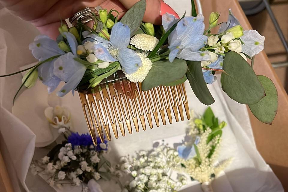 Accessori