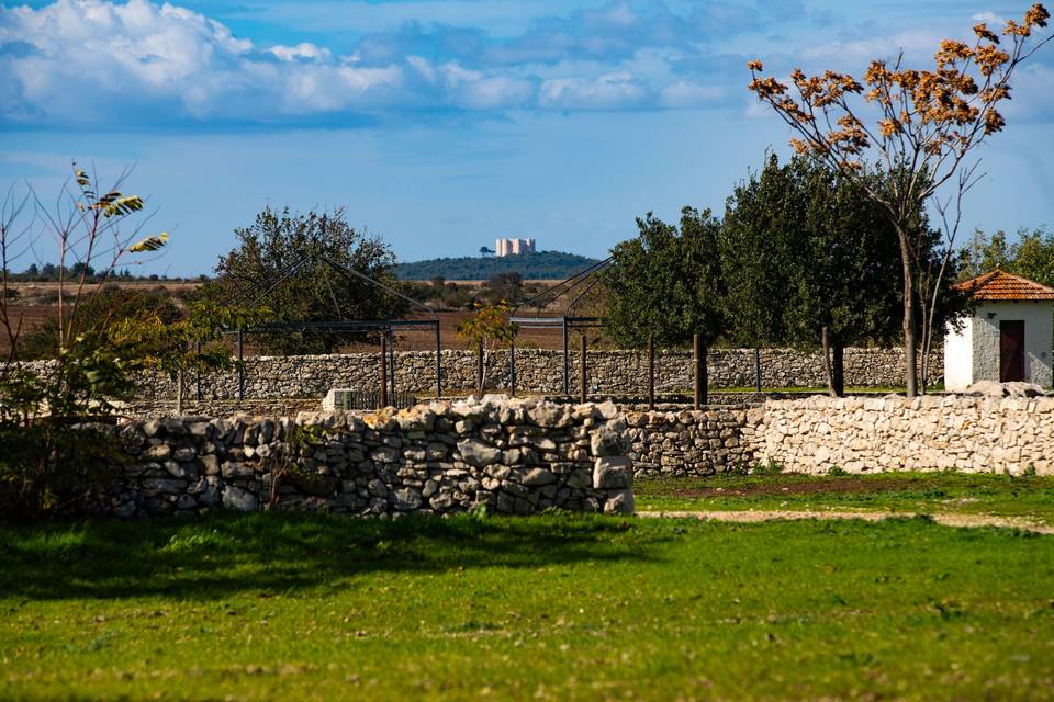 Esterno
