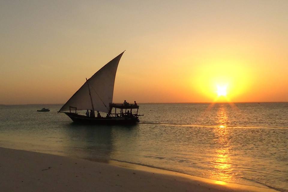 Sognando Zanzibar