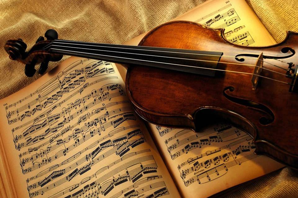 Violino