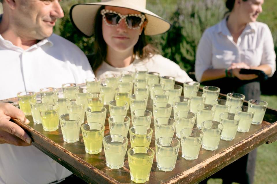 Limoncello shots