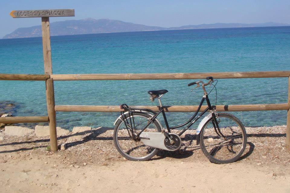 Isola di Pianosa