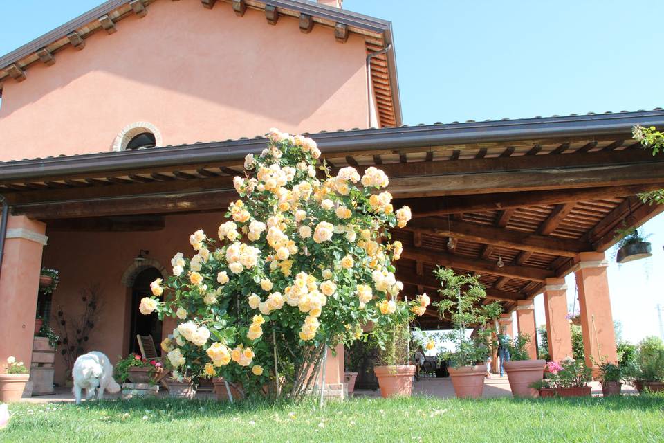 La fornasaccia 24
