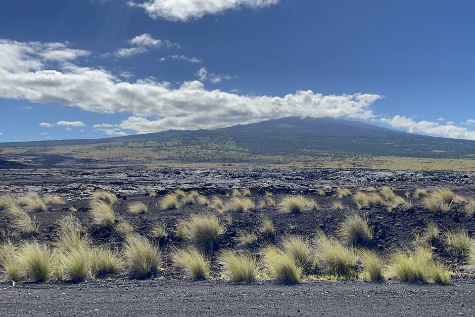Mauna loa-big island