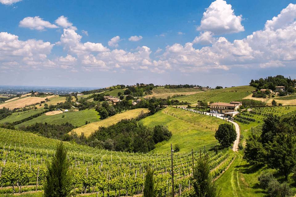 Agriturismo acetaia sereni