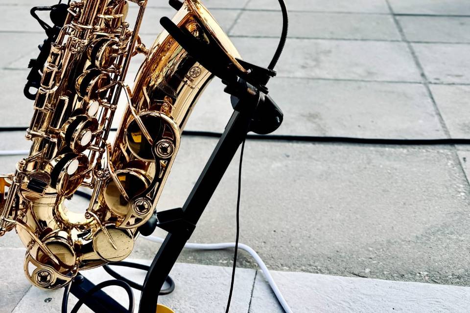 Ely Sax