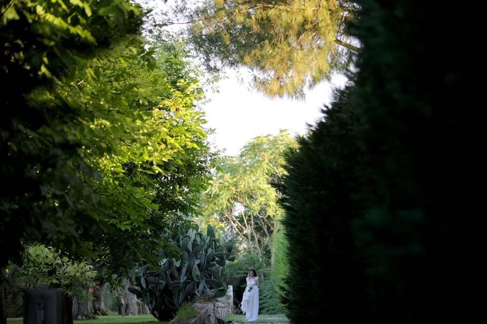 Enzo Angelini Fotografo