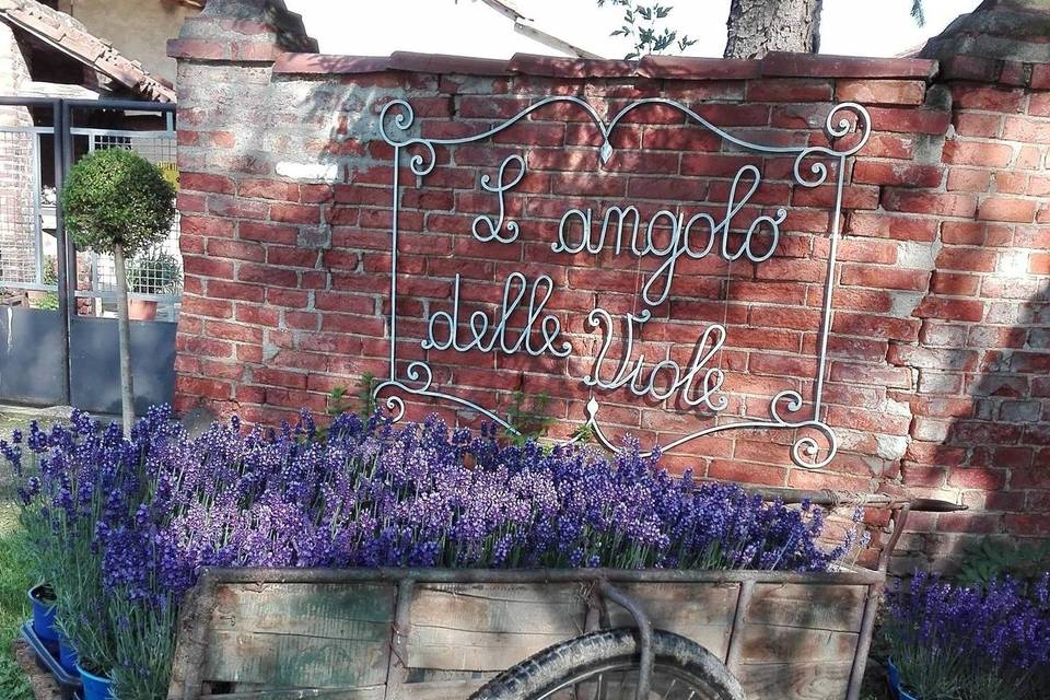 L'Angolo delle Viole