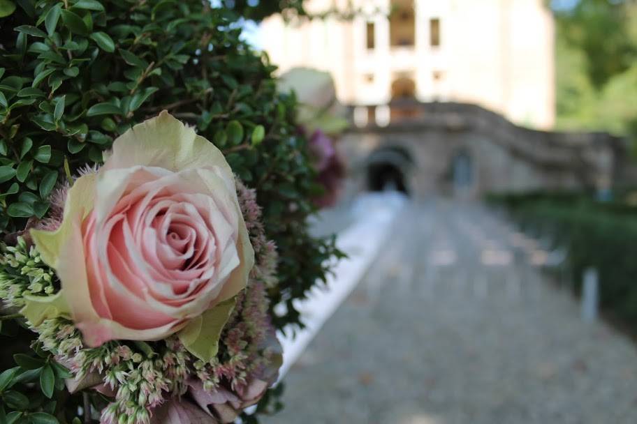 L'Angolo delle Viole