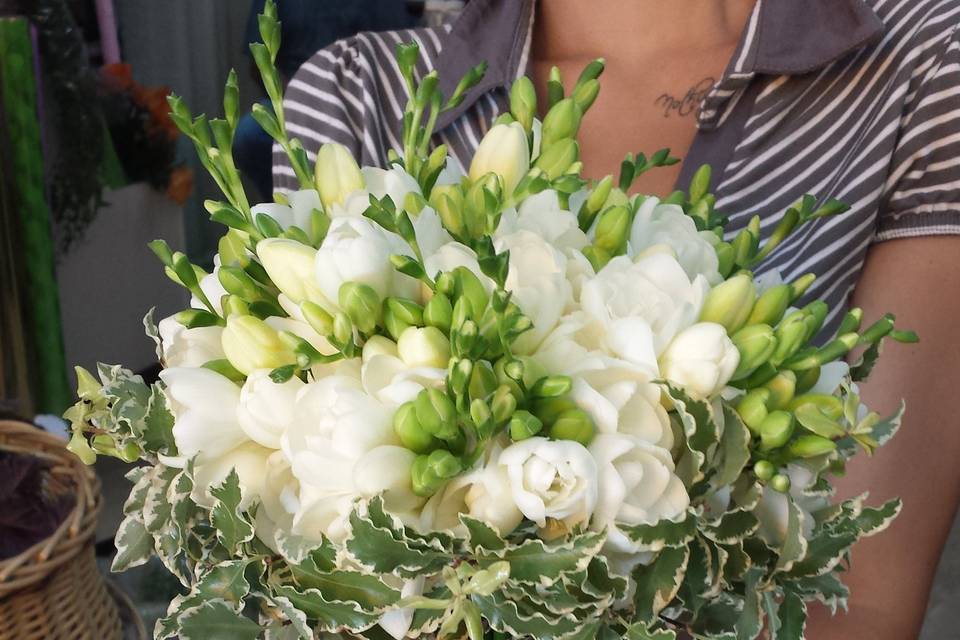 Bouquet di fresia bianca