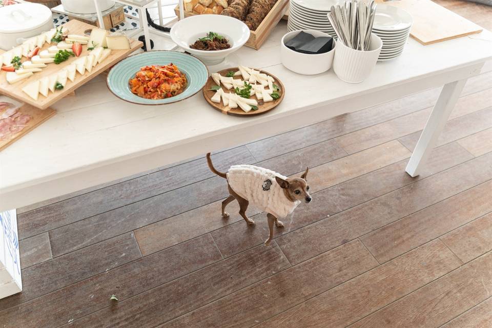 Un intruso nel buffet