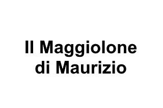 Il maggiolone di maurizio logo