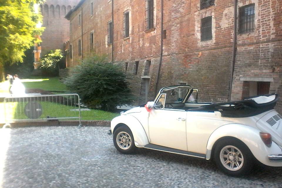 Maggiolone Cabrio