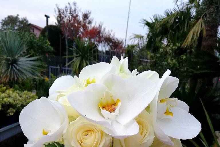 I Fiori di Ornella