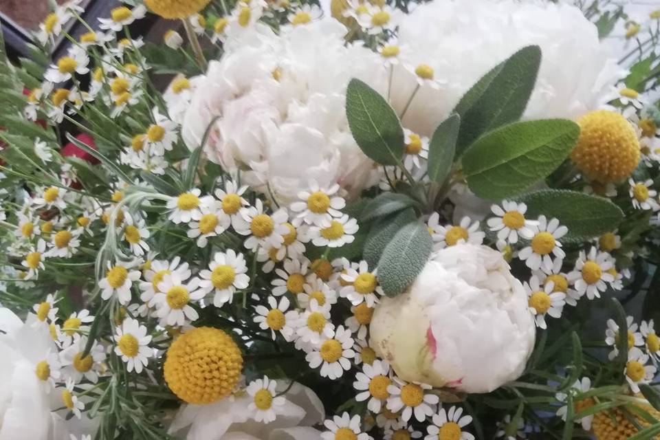 I Fiori di Ornella