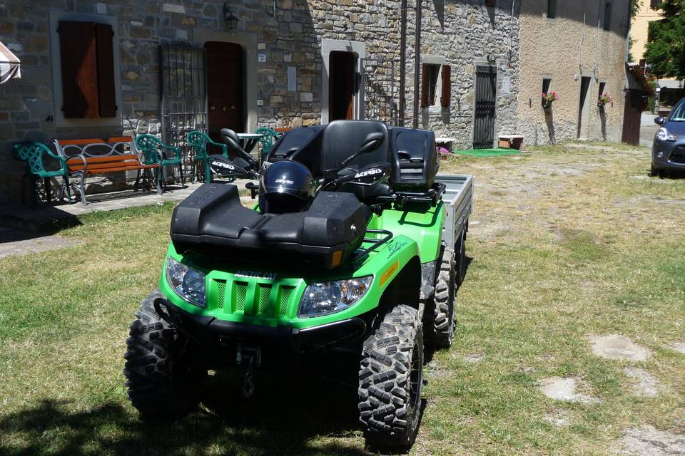 Quad Arctic Cat