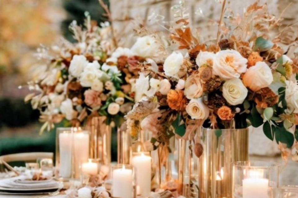 Allestimento 🤎💛