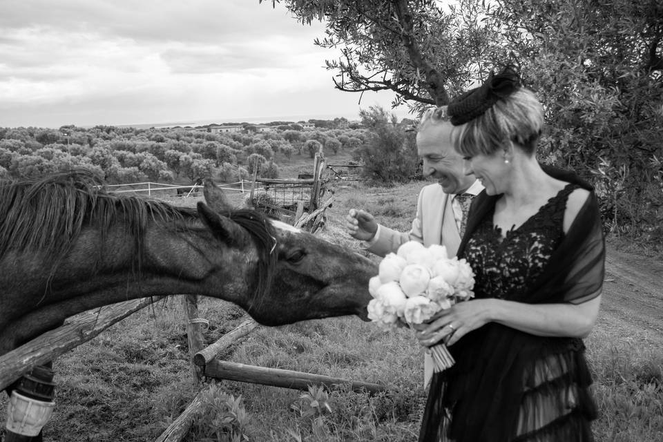 Cavallo e bouquet