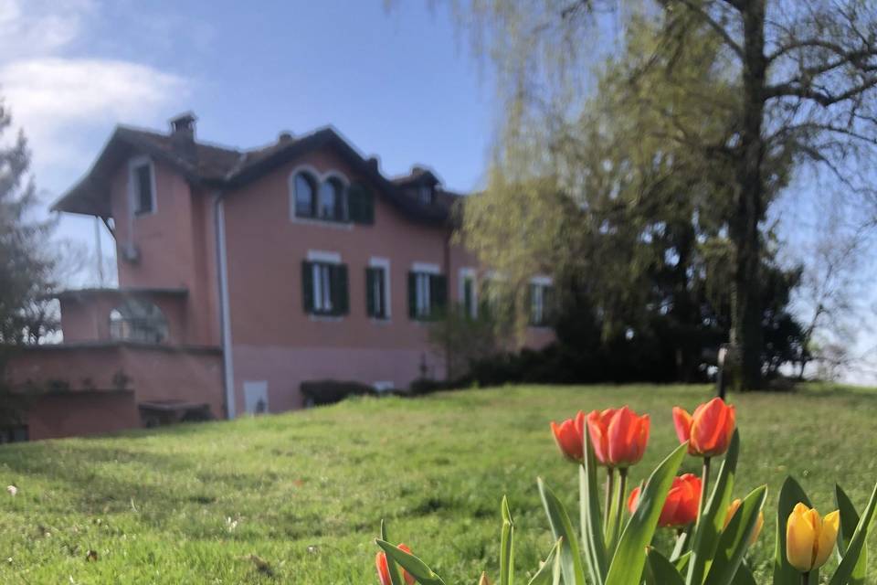 Vista giardino