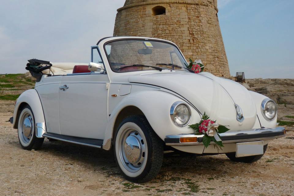 Auto cerimonia