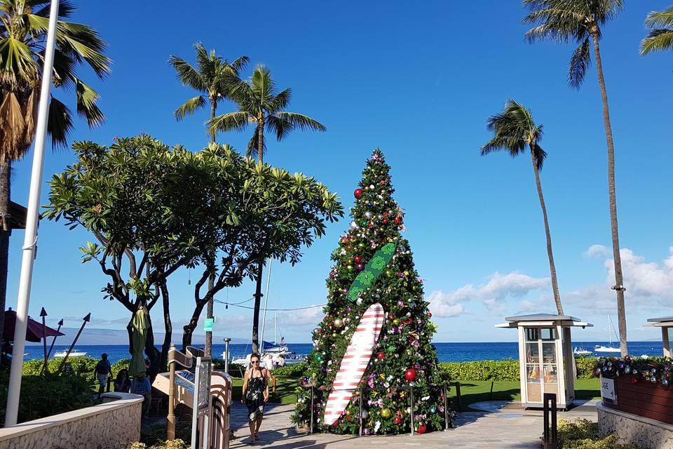 Natale a Maui - Hawaii