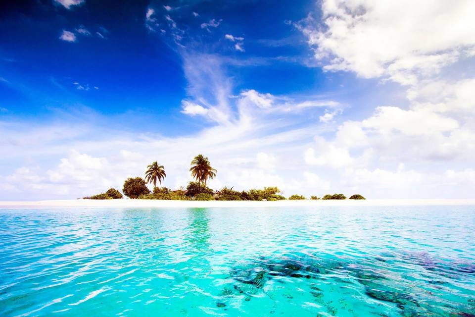 Maldive