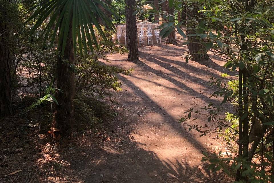 Il bosco delle Favole