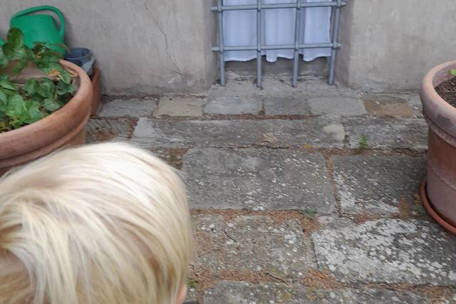 Blond hair