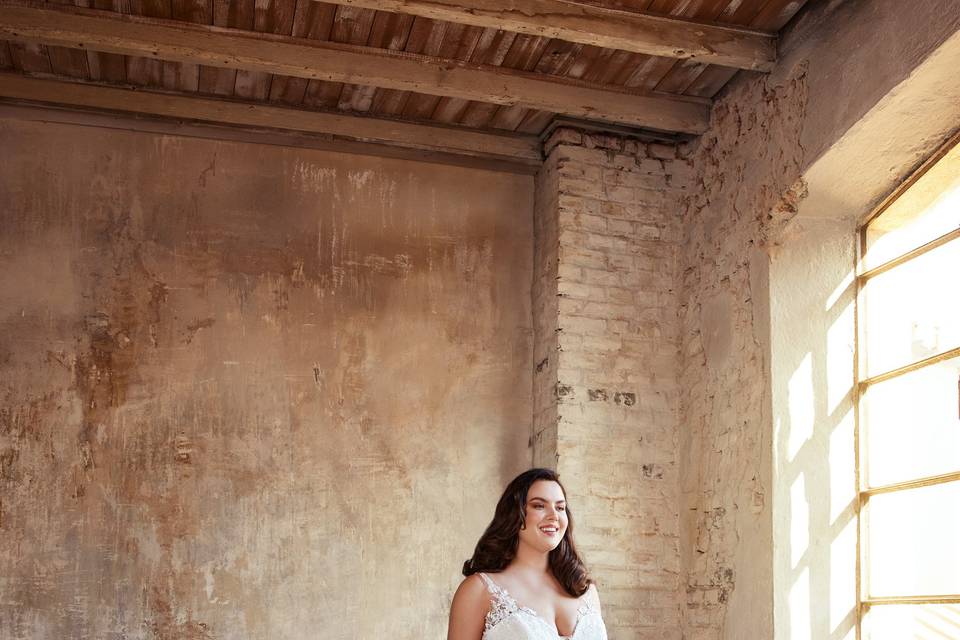 Sensual Beauty Collection