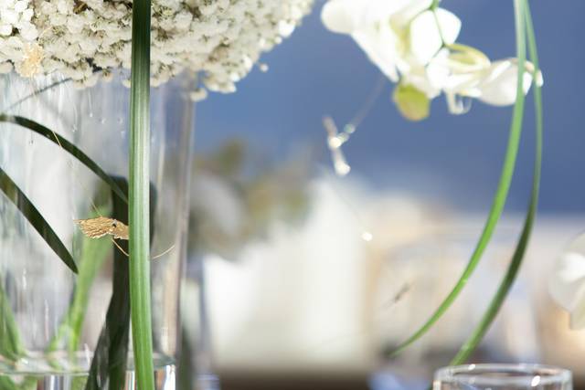 Wedding Day