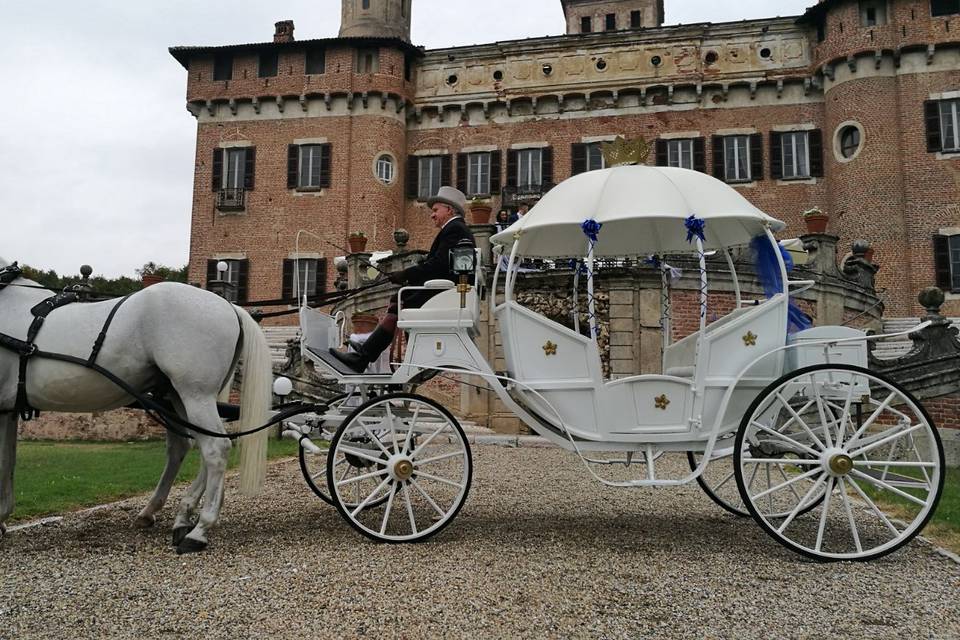 Carrozza Cenerentola