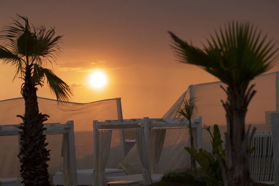 Il tramonto nel giardino