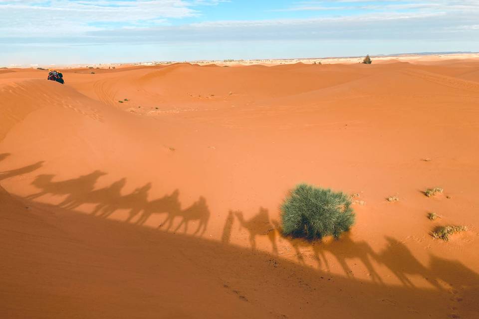 Vivi un'esperienza nel deserto