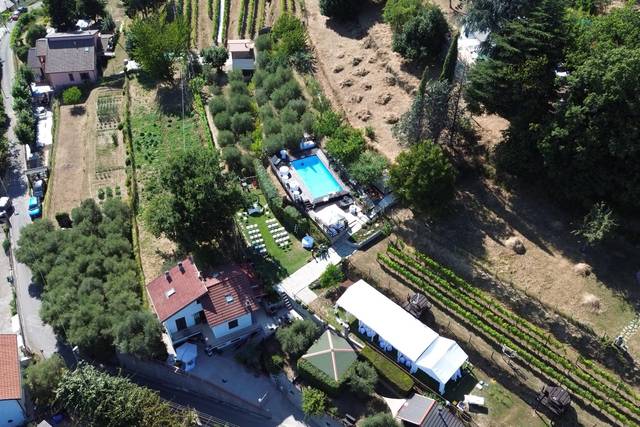 Azienda Agricola Terre Verae
