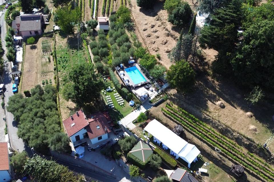 Azienda Agricola Terre Verae