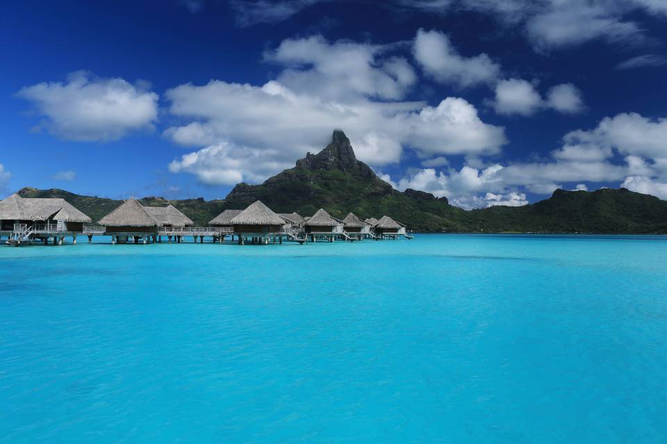 Bora Bora sottoacqua