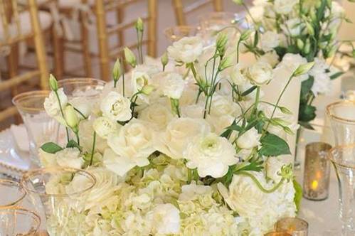 Eleganza e distinzione