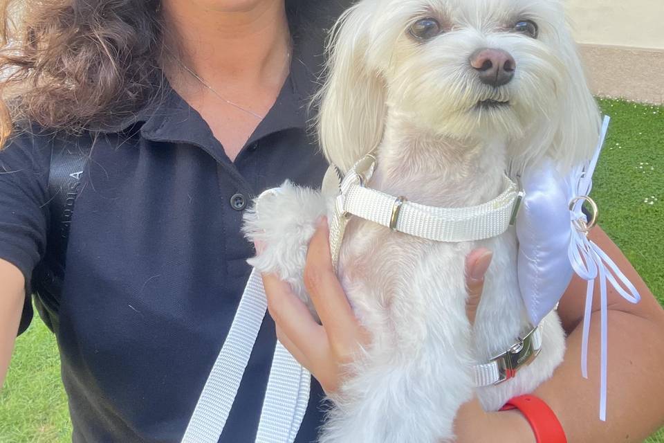 Io e Pollie
