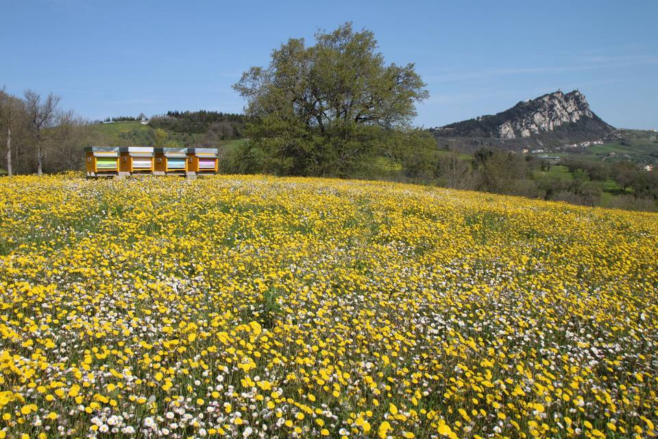 I nostri spazi verdi