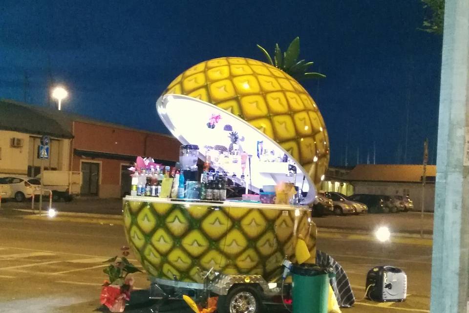 Hawaiiananas bar