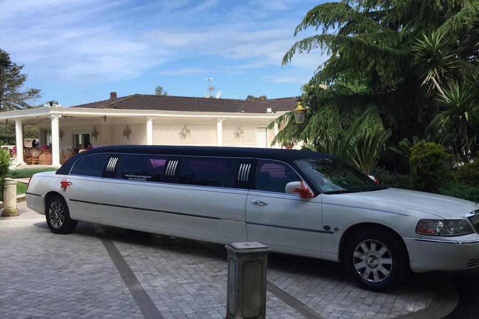 Canestri Autonoleggi