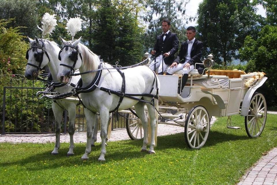 Carrozza bianca