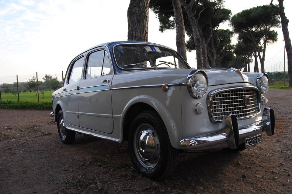 Fiat 1100 sposi