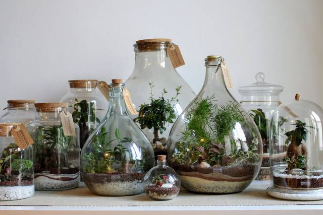 Osservatorio Botanico - Terrarium