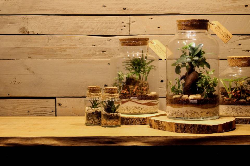 Osservatorio Botanico - Terrarium