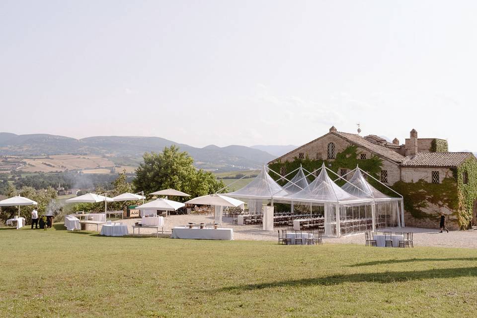 Matrimonio in vigna